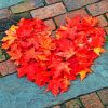 Autumn Leaves Heart paint by numbers