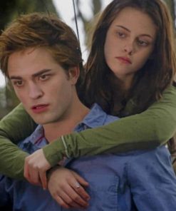 Bella And Edward paint by numbers