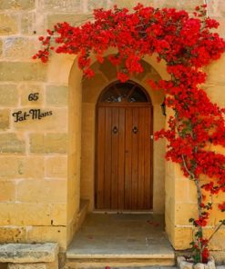 Brown Door With red Flowers
