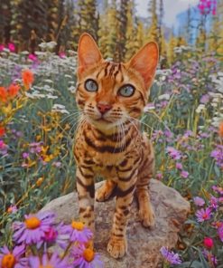 Bengal Cat And Flowers Paint by numbers