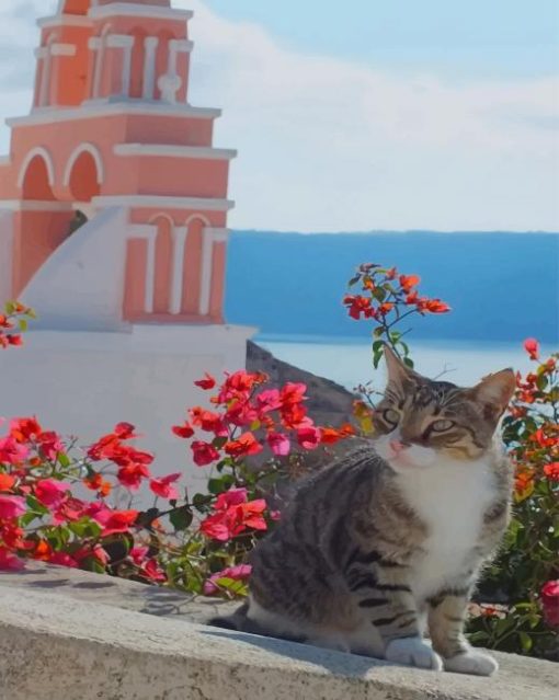 Cat Greece Island paint by numbers