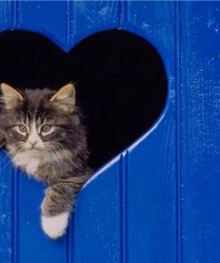 Cat Looking Through Heart Shaped Hole paint by numbers