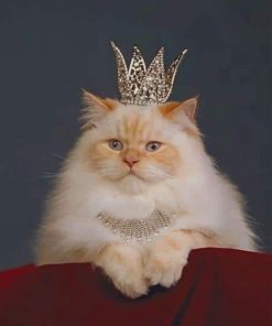 Cat With A Crown paint by numbers