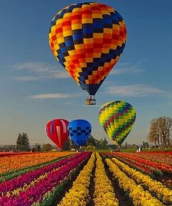 Colorful Air Balloons And Flowers paint by numbers