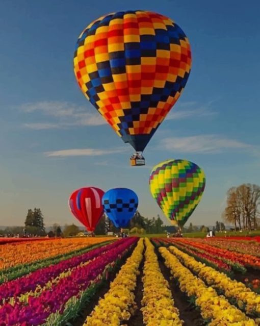 Colorful Air Balloons And Flowers paint by numbers