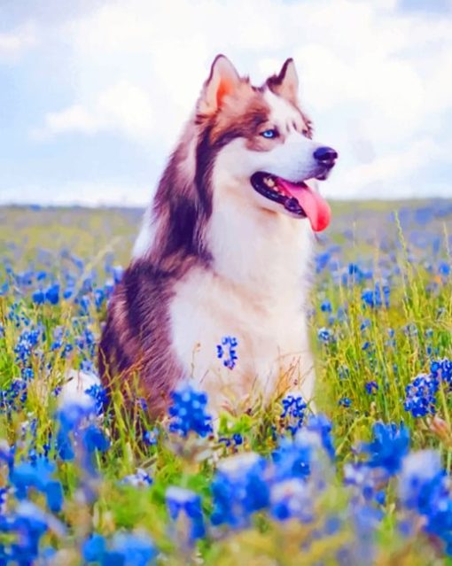 Dog And Blue Flowers paint by numbers