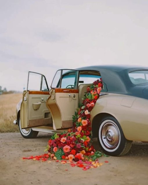 Red Flowers In A Classic Car paint by numbers