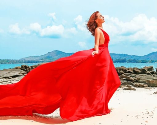 Flowy Dress On Beach Photoshoot paint by numbers