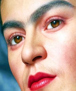Frida Kahlo Close Up Paint by numbers