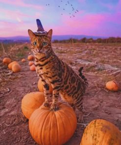 Bengal Cat Celebrating The Halloween Paint by numbers