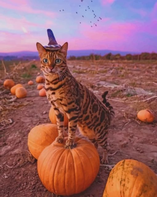 Bengal Cat Celebrating The Halloween Paint by numbers