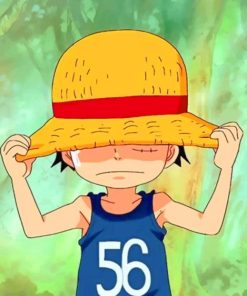 One Piece Luffy Paint by numbers