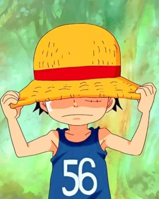 One Piece Luffy Paint by numbers