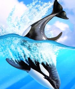 Orca Whale Art paint by numbers
