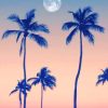 Palm Trees With Moon paint by numbers