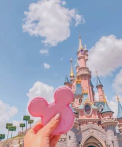 Pink Biscuit Sleeping Beauty Castle Paint by numbers
