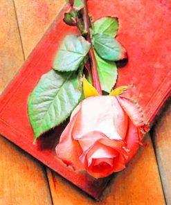Pink Rose In Book paint by numbers