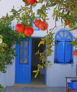 Pomegranate Tree In Santorini Paint By Numbers