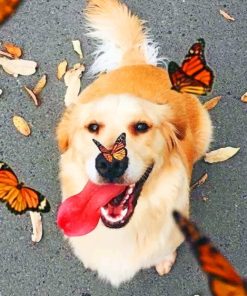 Puppy And Butterflies paint by numbers