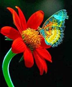 Red Flower With Colorful Butterfly