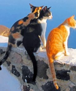 Santorini Cats paint by numbers
