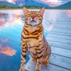 Bengal Cat In A Seascape paint by numbers