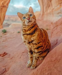 Bengal Cat paint by numbers