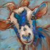 White And Blue Goat paint by numbers