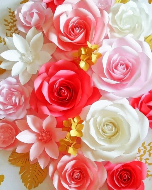 White And Pink Flowers paint by numbers
