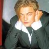 Young Leonardo DiCaprio Paint by numbers