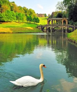 Prior Park Garden paint by numbers