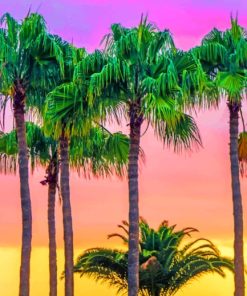 Aesthetic Palms Sunset paint by numbers