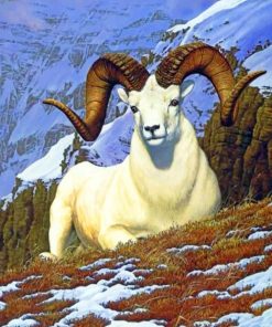 White Bighorn Sheep path by numbers