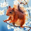 Red Squirrel With Flowers paint by numbers