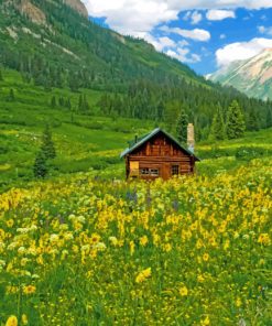 Cabin in nature paint by numbers