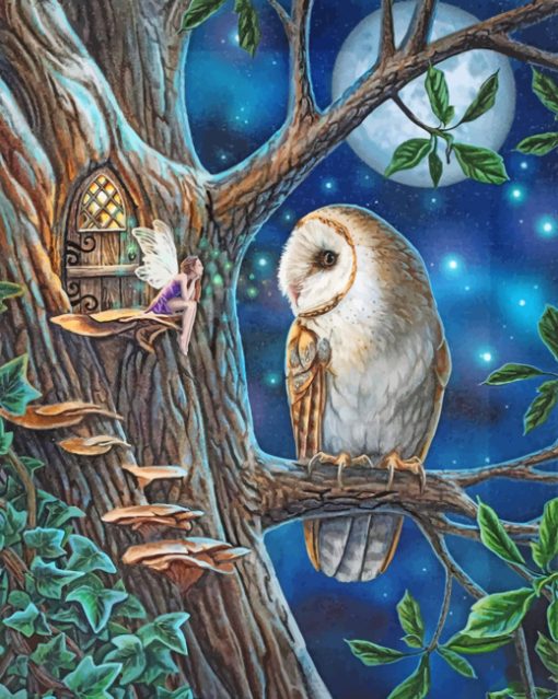 Fairy and Owl Art paint by number