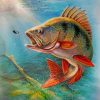 Fish In Water paint by numbers