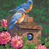 Garden Bluebirds paint by numbers