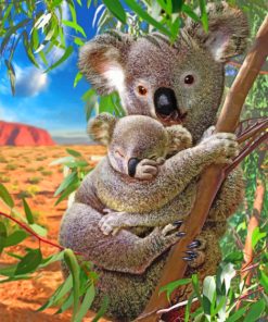 Koalas Bear paint by numbers