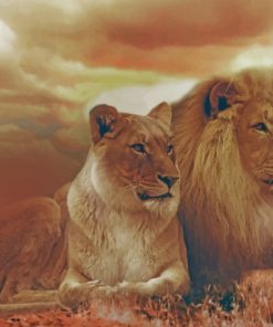 Lion Couple paint by number