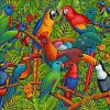 Tropical rainforest birds paint by number