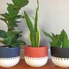 bohemian plant pots paint by numbers