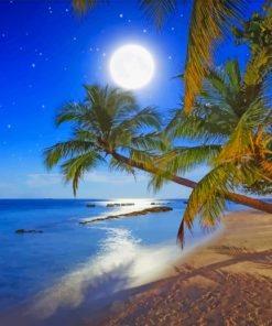 full moon night beach paint by number