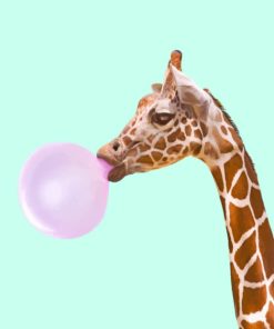 Girraffe Blowing Bubble Paint by numbers