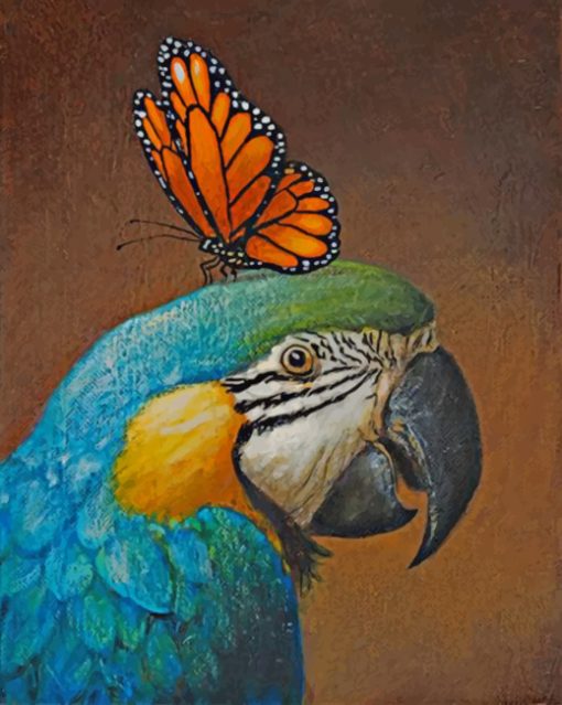 Parrot And Butterfly paint by nummbers