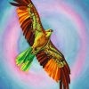 Colorful Hawk Bird paint by numbers
