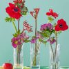 Poppies Glass Vases paint by numbers