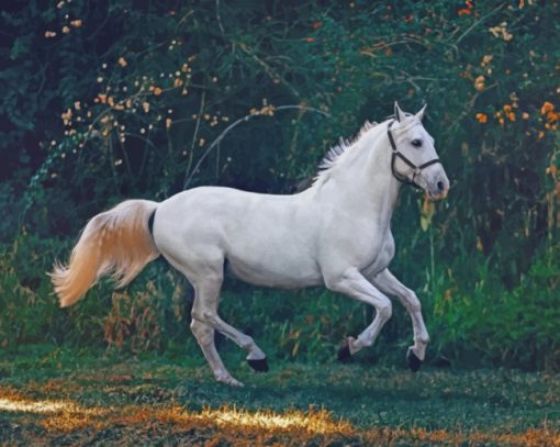 Running White Horse paint by numbers