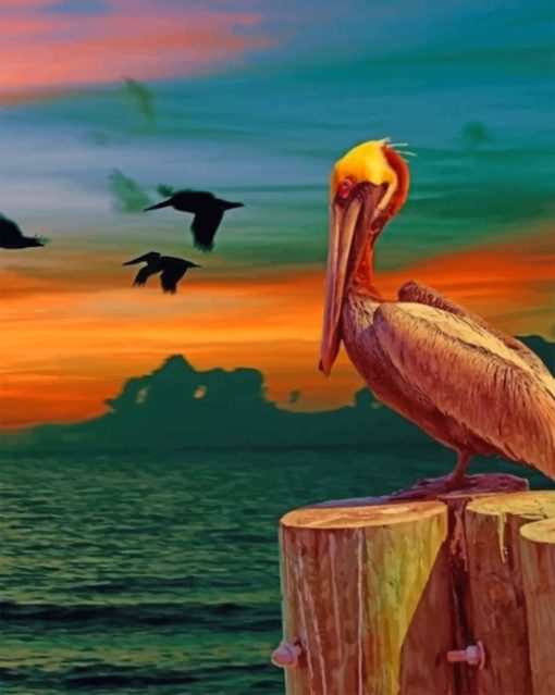 aesthetic-pelican-bird-paint-by-numbers