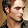 Edward Cullen Paint by numbers